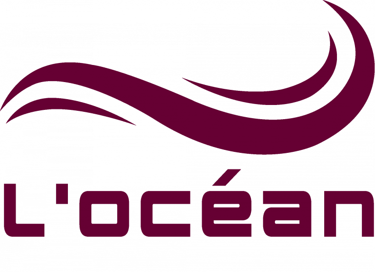 L'océan violet foncé